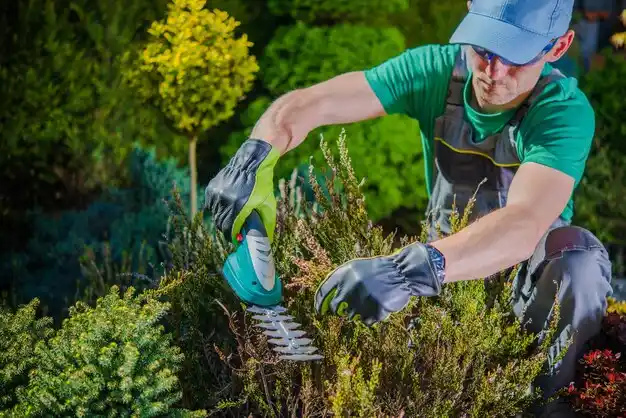 landscaping services Cleveland